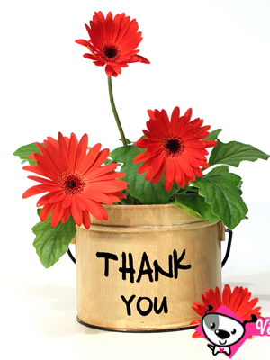 NGUYỄN VĨNH BẢO