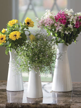 LỤC TRIỀU NGUYÊN