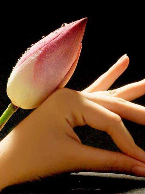 ĐỖ THỊ HỒNG ĐÀ