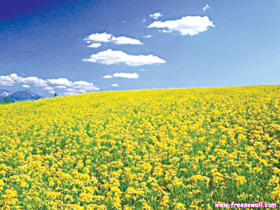 Chùm thơ của Đào Thanh Nghị (Hải Phòng)