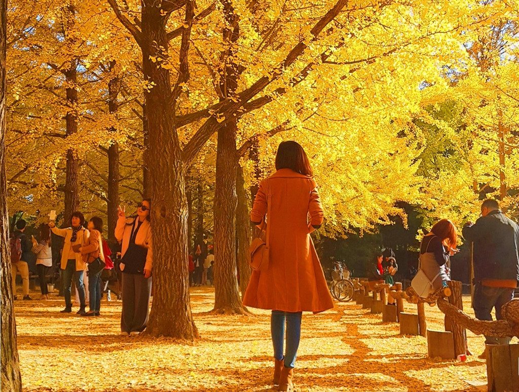 B&oacute;ng cũ chiều thu