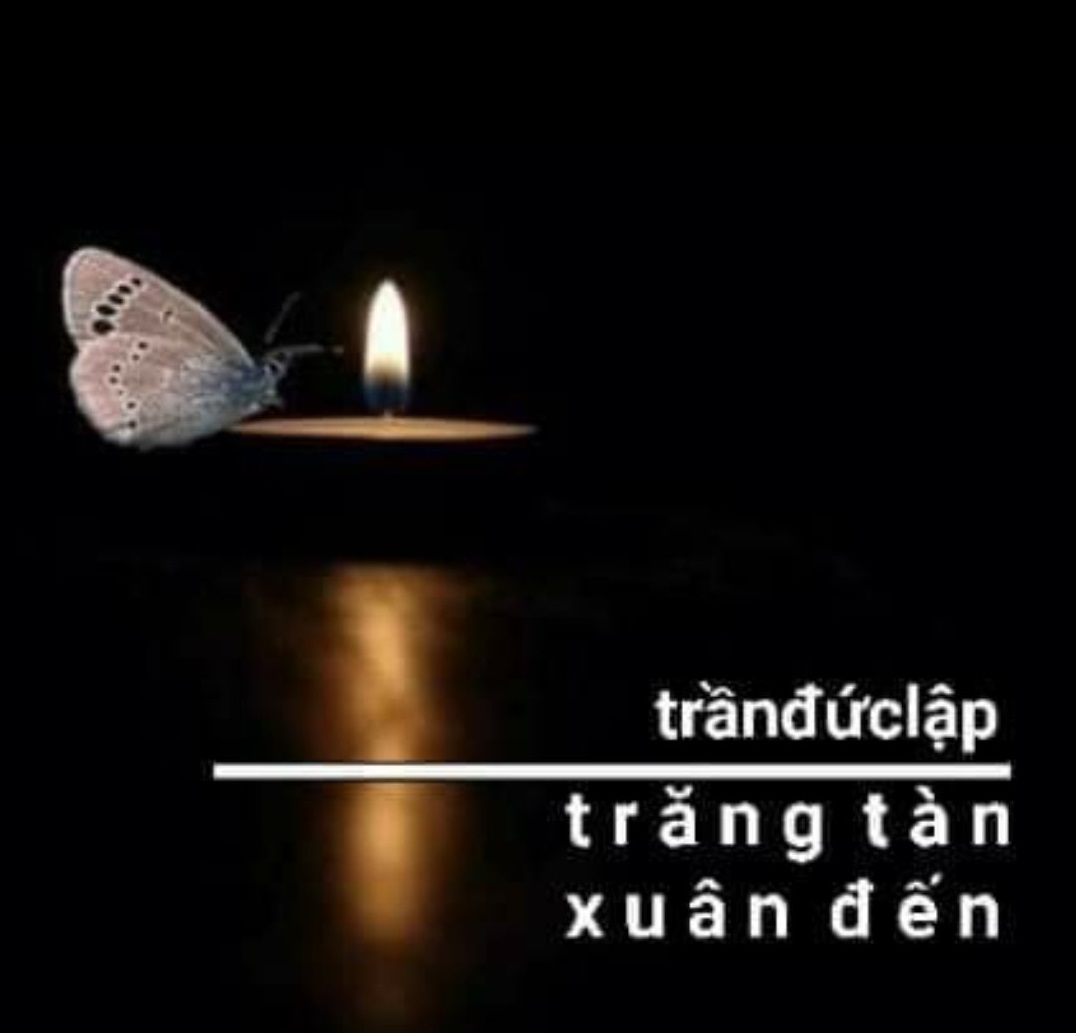 Trăng t&agrave;n xu&acirc;n đến