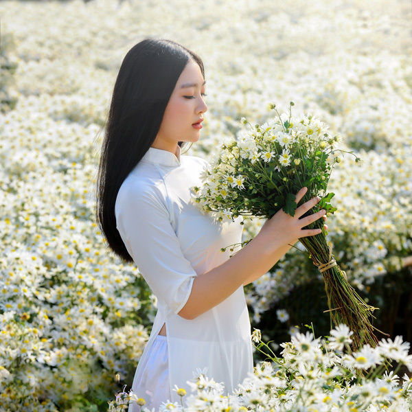 Thơ hay Những dáng Kiều thơm của Nhà thơ Hà Hải Anh; Lời bình của GS. TS Nguyễn Bá Đức